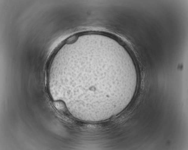 X0000115611271200912011542