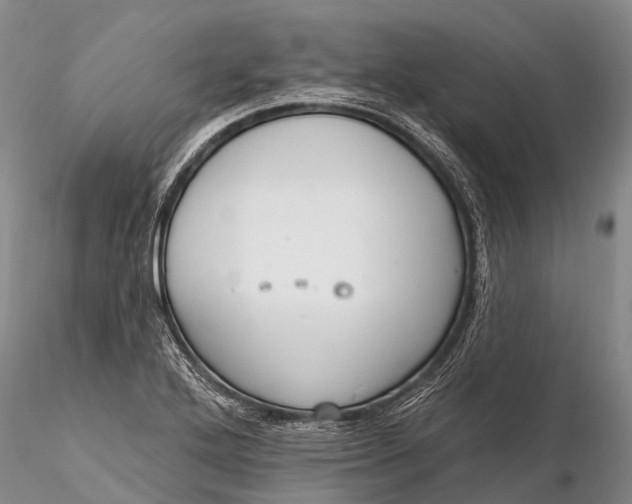X0000115611272200912011542