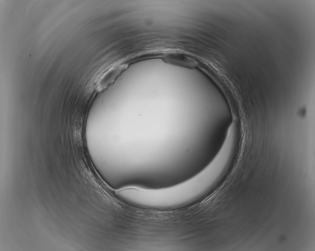 X0000115611273200912011542