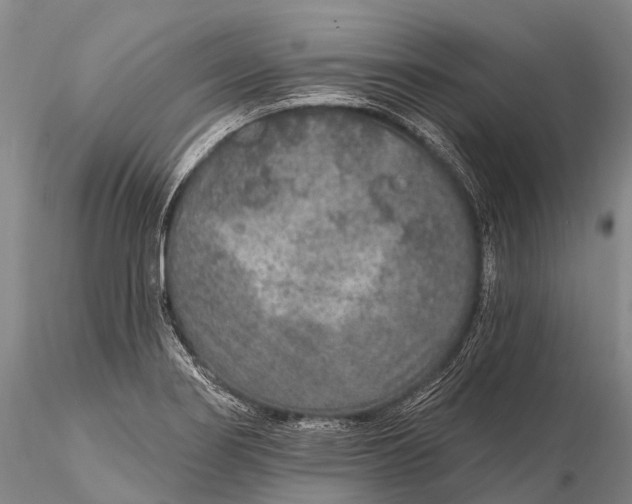 X0000115611274200912011542
