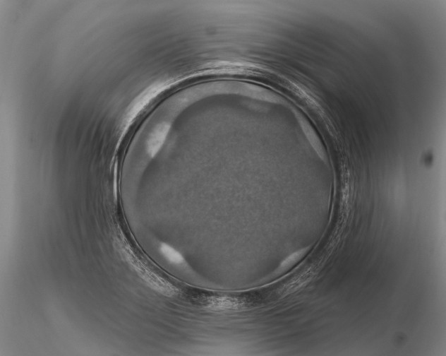 X0000115611275200912011542
