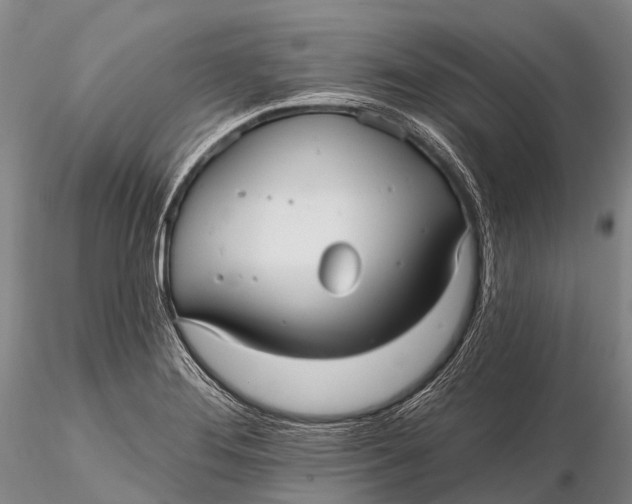 X0000115611276200912011542