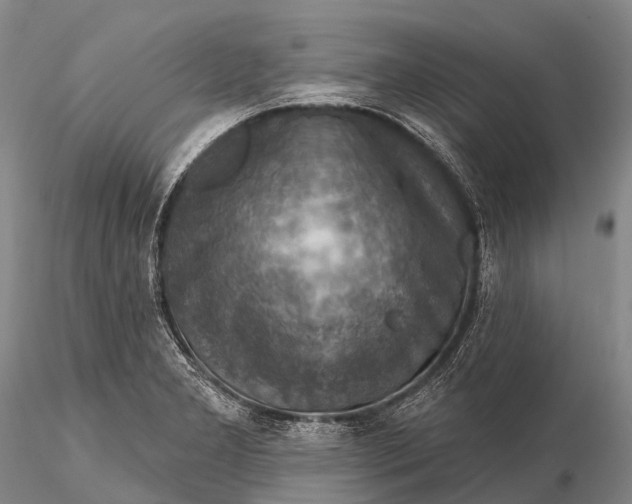 X0000115611277200912011542