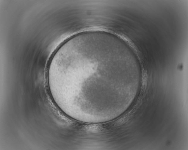 X0000115611278200912011542