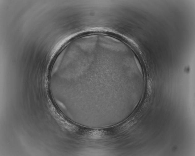 X0000115611279200912011542