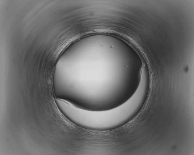 X0000115611281200912011542