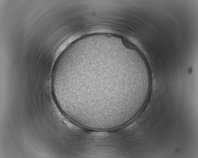 X0000115611282200912011542