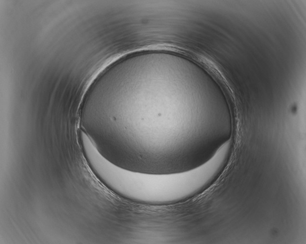 X0000115611284200912011542