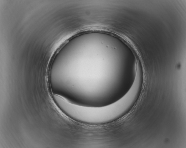 X0000115611285200912011542