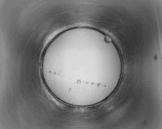 X0000115611286200912011542