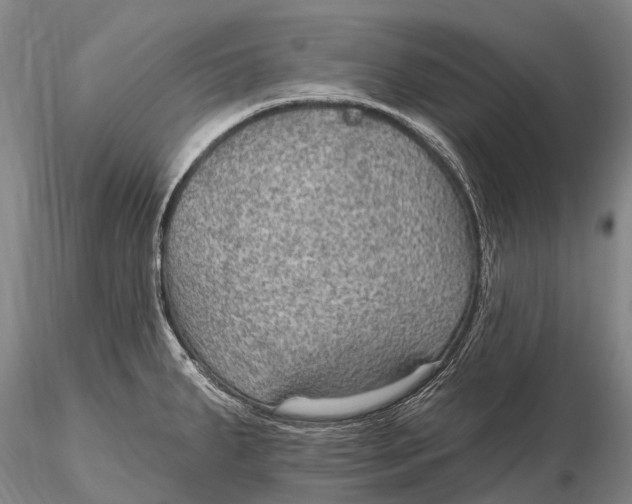 X0000115611287200912011542