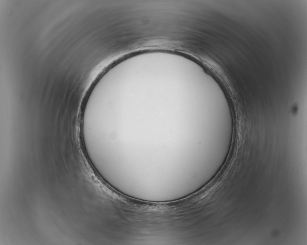 X0000115611288200912011542