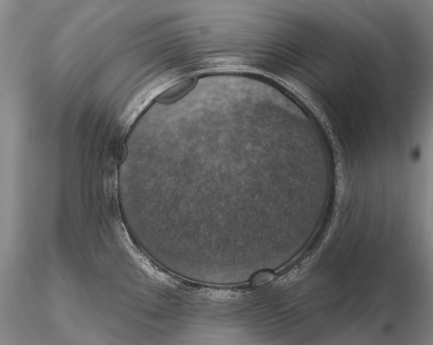 X0000115611289200912011542