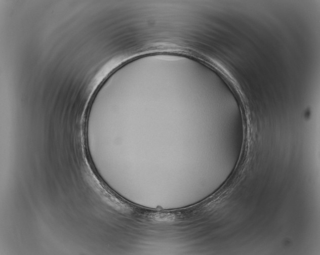 X0000115611291200912011542