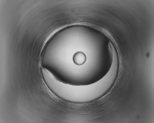 X0000115611292200912011541