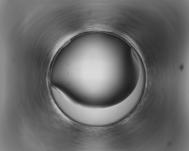 X0000115611293200912011541
