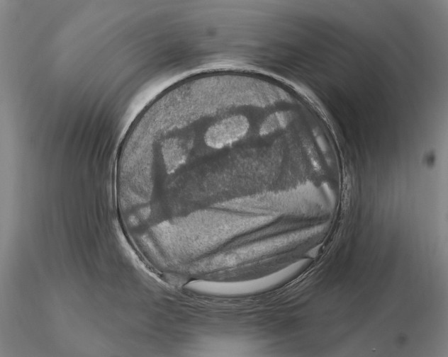 X0000115611295200912011541