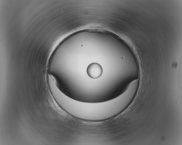 X0000115611296200912011541