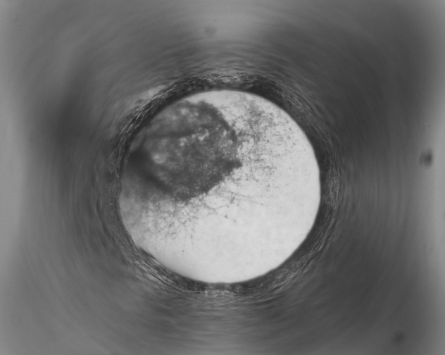 X0000115611297200912011541