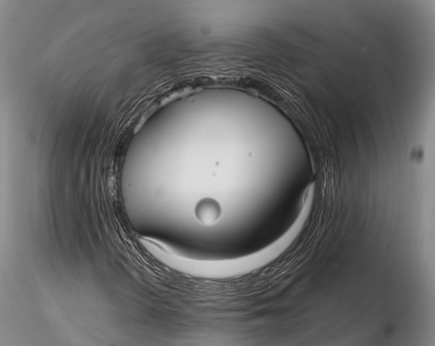 X0000115611298200912011541