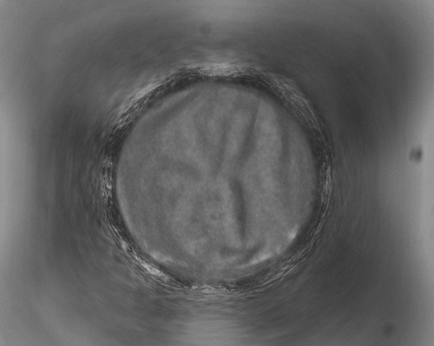 X0000115611301200912011541
