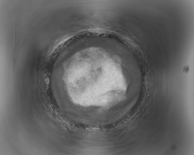 X0000115611302200912011541