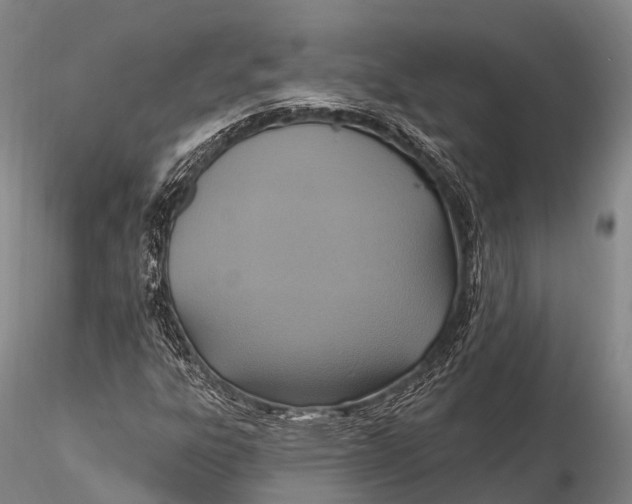 X0000115611303200912011541