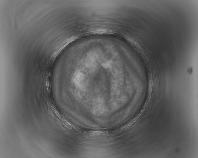 X0000115611305200912011541