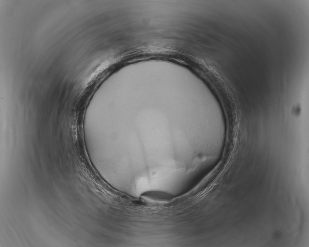 X0000115611306200912011541