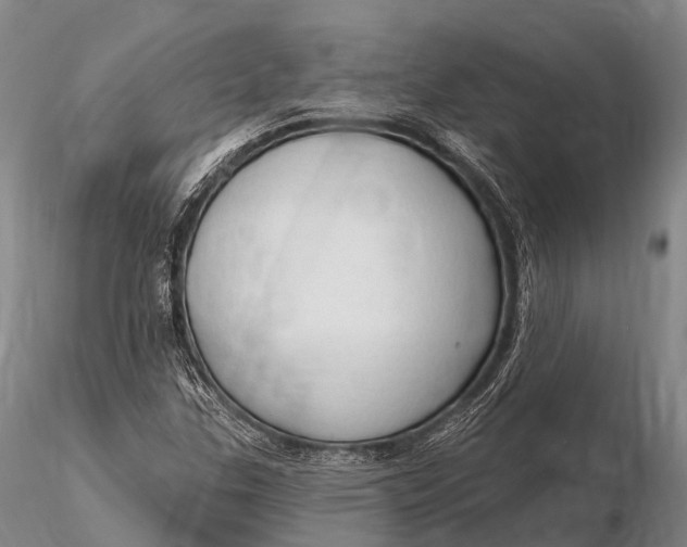 X0000115611307200912011541