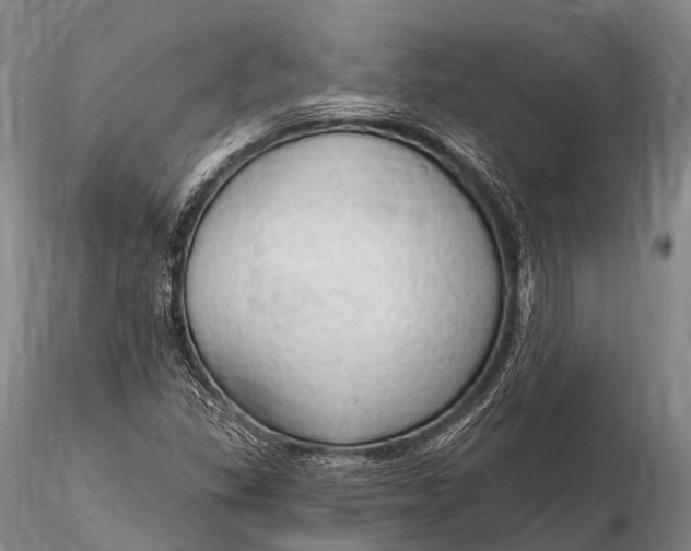 X0000115611309200912011541
