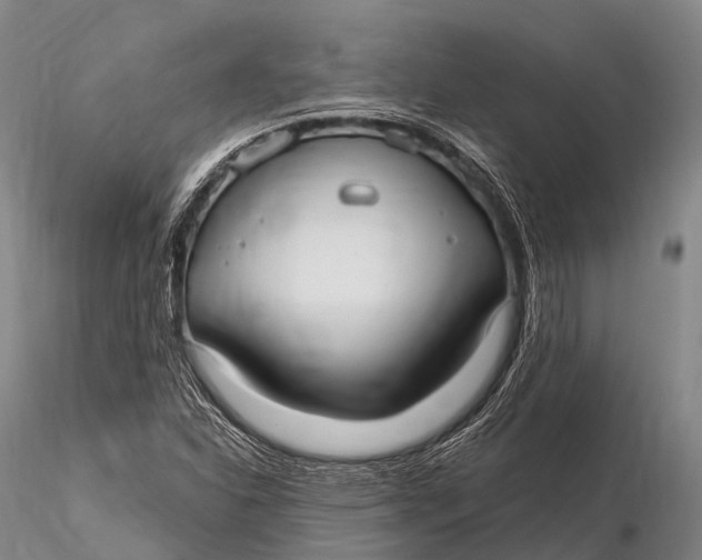 X0000115611310200912011541