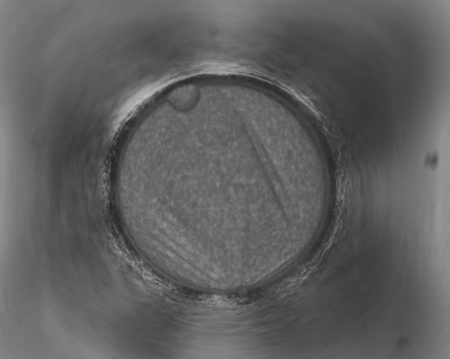 X0000115611311200912011541