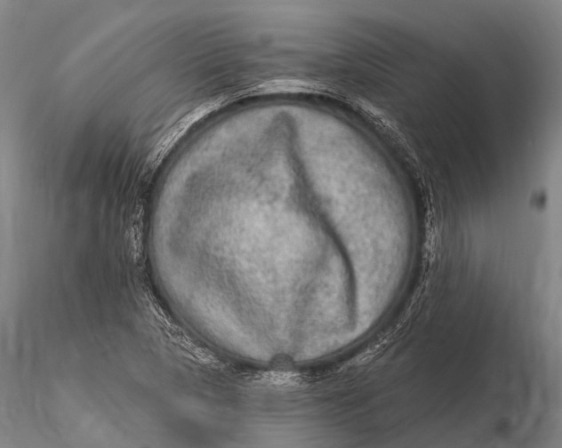 X0000115611313200912011541