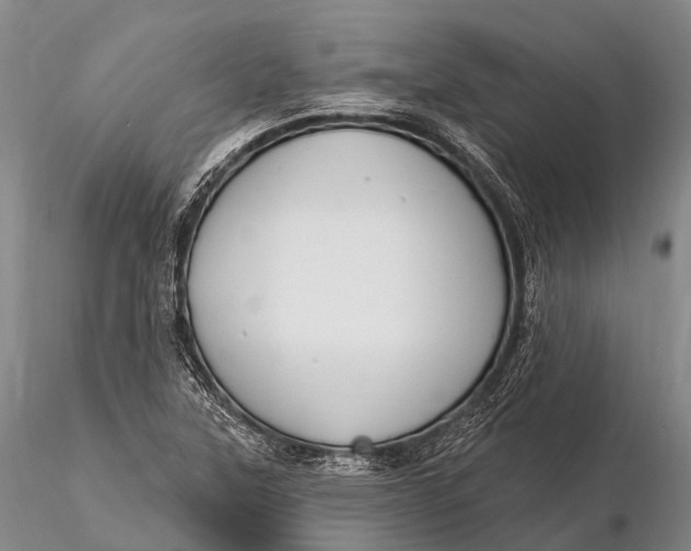 X0000115611315200912011541