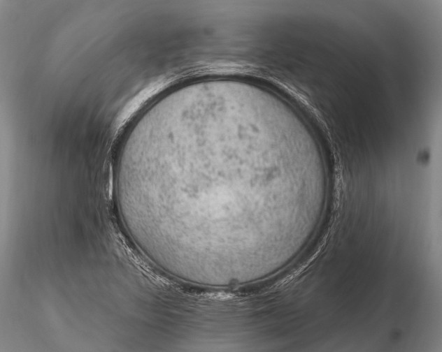 X0000115611317200912011541