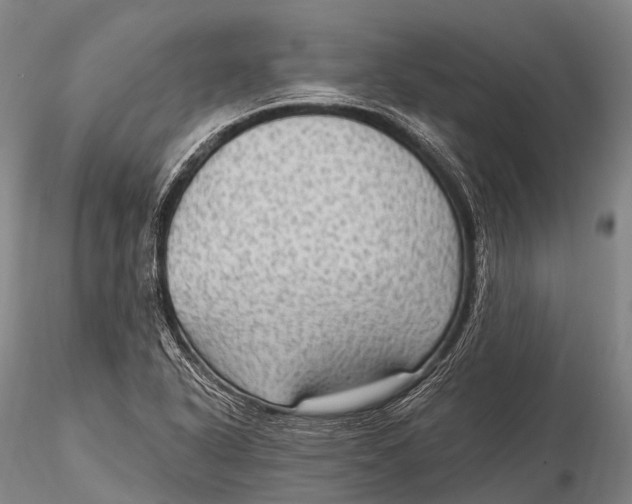 X0000115611318200912011541
