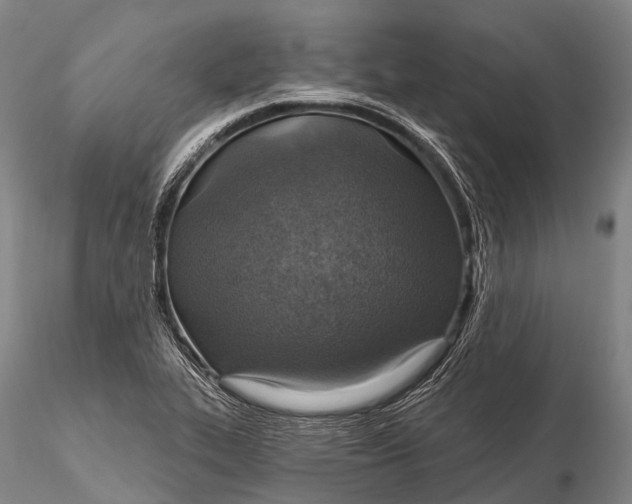 X0000115611319200912011541
