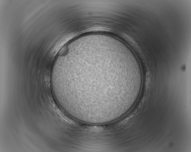 X0000115611321200912011541