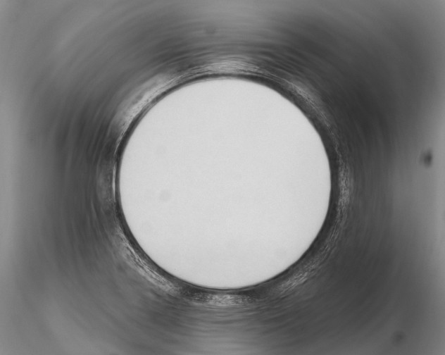X0000115611322200912011541