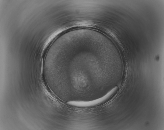X0000115611323200912011541