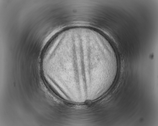 X0000115611325200912011541