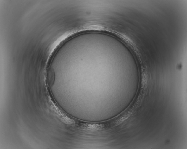 X0000115611326200912011541