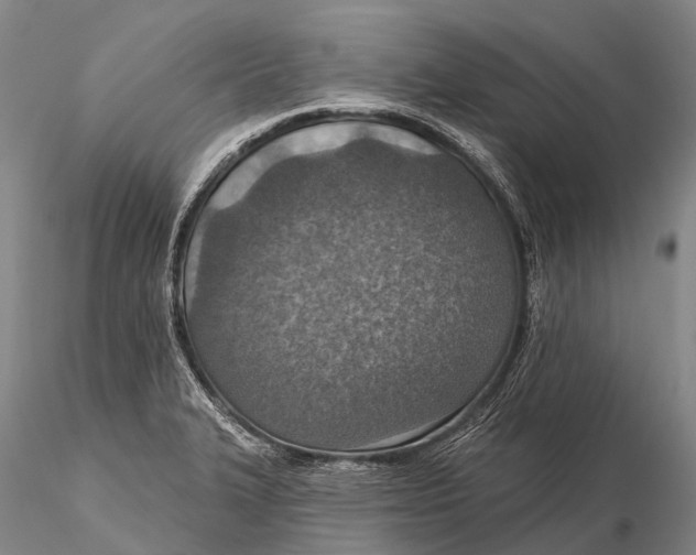 X0000115611327200912011541