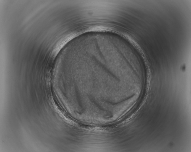 X0000115611329200912011541