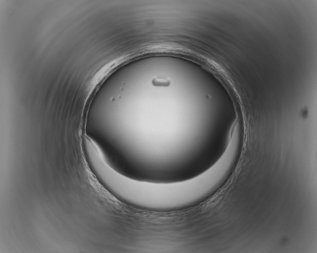 X0000115611330200912011541