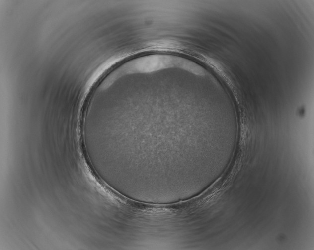 X0000115611331200912011541