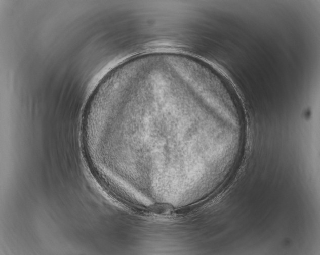 X0000115611333200912011541