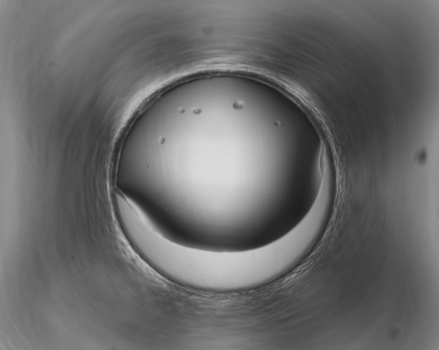 X0000115611334200912011541