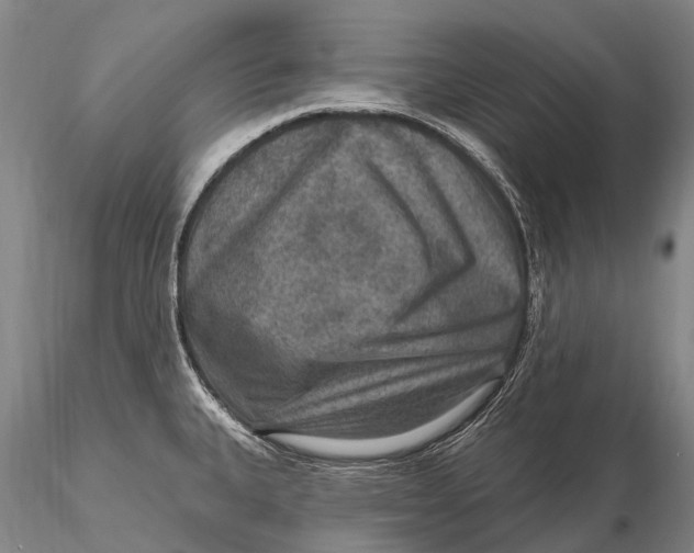 X0000115611335200912011541
